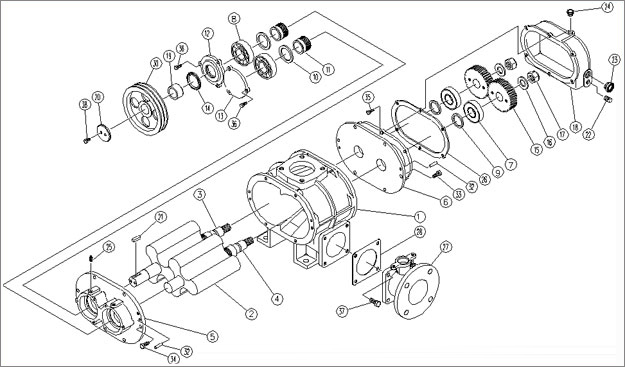 三葉羅茨風(fēng)機結(jié)構(gòu)圖 三葉羅茨風(fēng)機結(jié)構(gòu)圖