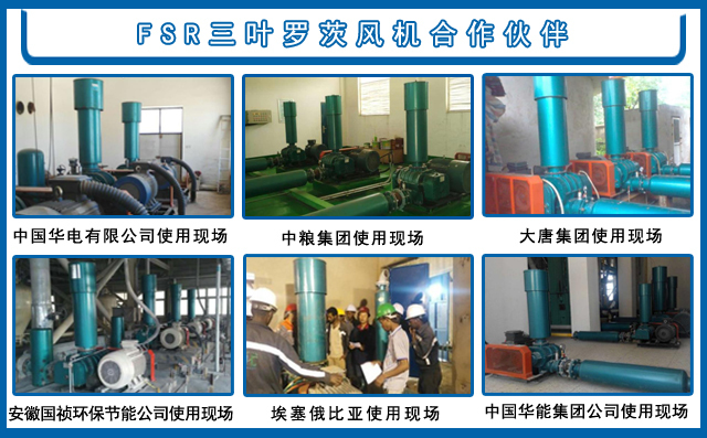 豐源羅茨風機生產(chǎn)廠家合作伙伴 豐源羅茨風機生產(chǎn)廠家合作伙伴