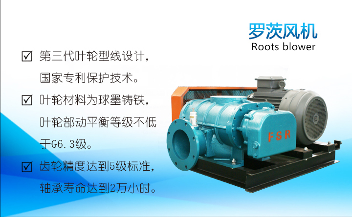 羅茨鼓風(fēng)機(jī) 羅茨鼓風(fēng)機(jī)
