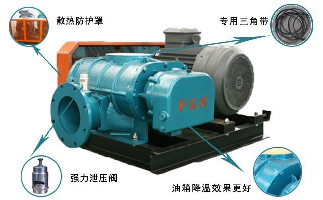 羅茨鼓風(fēng)機(jī) 羅茨鼓風(fēng)機(jī)